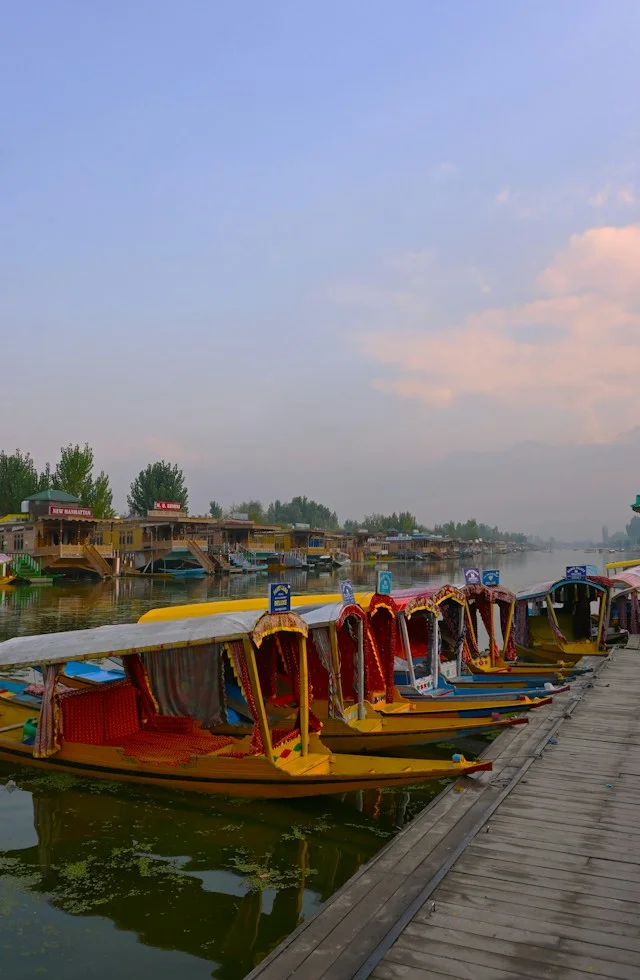 Kashmir