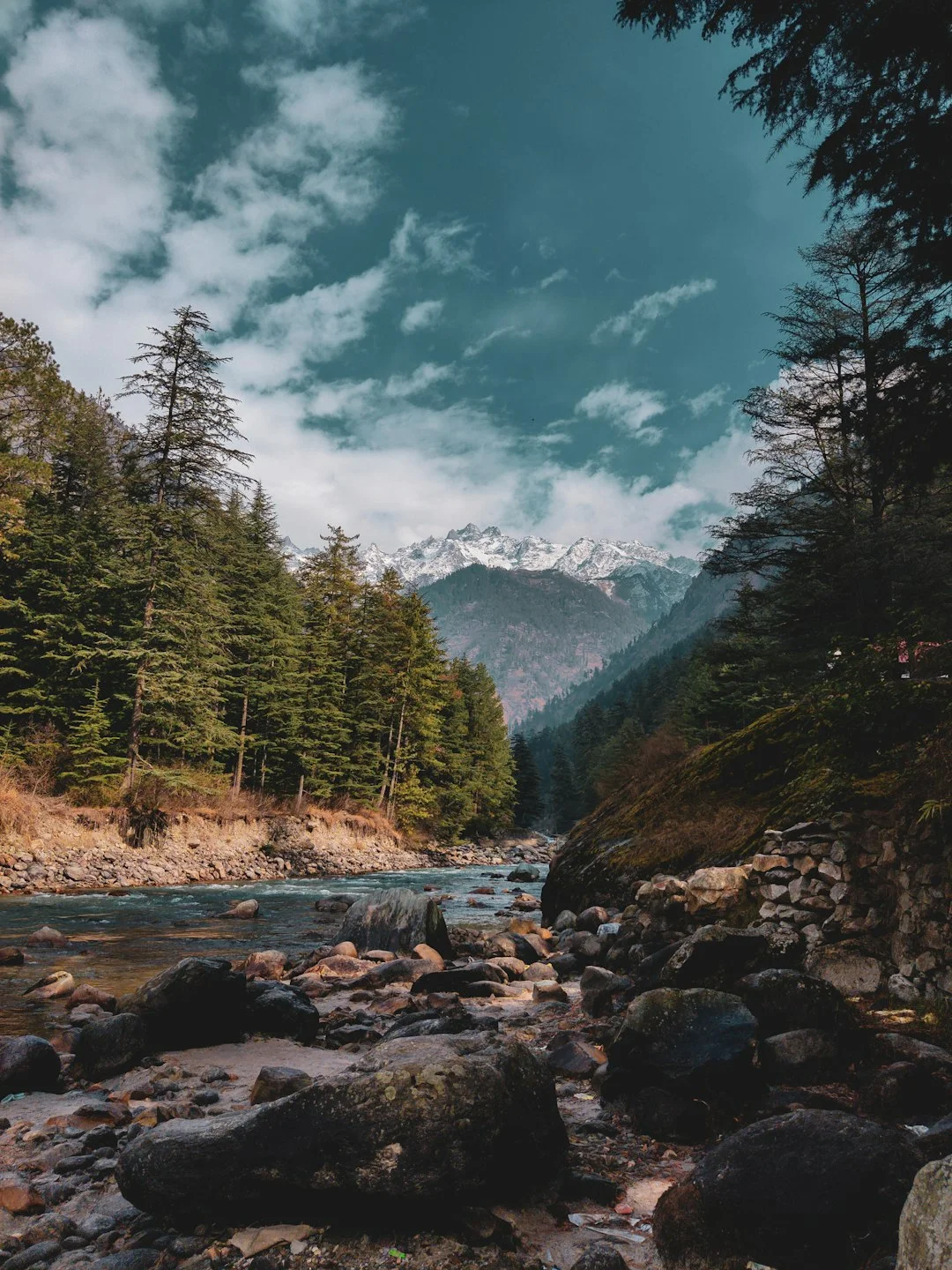 Himachal Backpacking Trip to Manali Kasol Jibhi